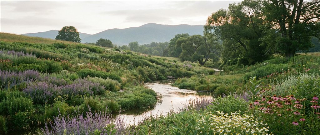 Natural ingredients and botanical elements